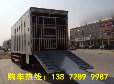 如何选购8吨生猪调运专用冷藏车 专业推荐与资讯指南