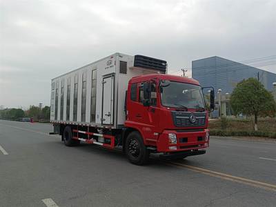 恒温鸡苗鸭苗车与冷藏车 养殖物流中的温度守护者
